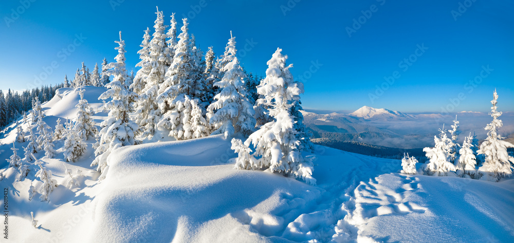 Foto-Schiebegardine ohne Schienensystem - winter mountain panorama landscape