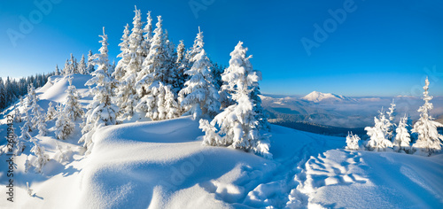 Foto-Schiebegardine ohne Schienensystem - winter mountain panorama landscape (von wildman)