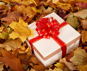 Wall Mural - Autumn still life with  gift box.