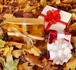 Wall Mural - Gift box in autumn orange leaf.