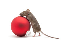 Christmas Mouse And Bauble Isolated