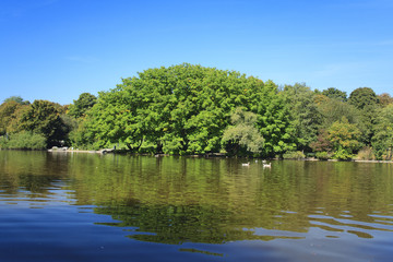 Wall Mural - green park