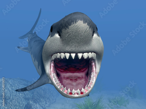 Foto-Vinylboden - Shark Attack (von Michael Rosskothen)