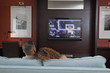 © Inti St Clair/Blend Images - Couple watching basketball game on television in living room