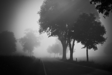 Wall Mural - nebel