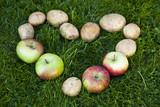Fototapeta Kuchnia - Świeże jabłka i ziemniaki w sercu na trawie
