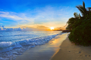 Poster - Tropical beach at sunset
