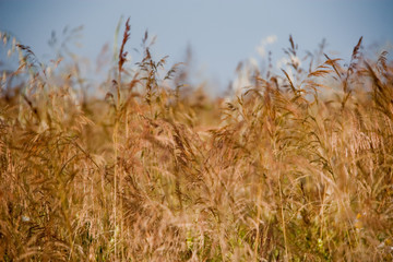 Naklejka na meble ceral