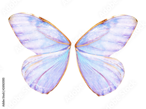 Fairy Wings Png Browse And Download Hd Fairy Wings Png Images With Transparent Background For Free Jantonio Ferreira Fairy Wings Png Browse And Download Hd Fairy Wings Png Images With Transparent Background For Free Jantonio Ferreira