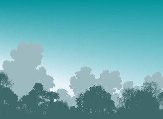 Wall Mural - woodland treetops