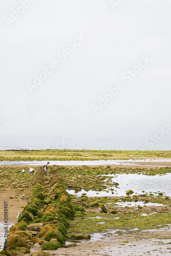 France 85 Jard Sur Mer Plage Du Veillon Buy This Stock