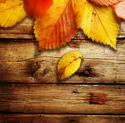 Autumn Leaves over wooden background.With copy space