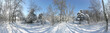 Snowy winter park 360 degrees panorama