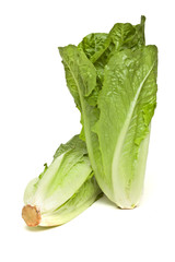 Wall Mural - Romaine lettuce