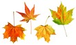 canvas print picture - set of autumn leaves 10sep26_18_set_5