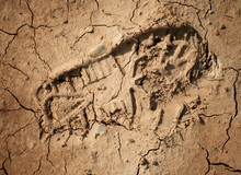 Imprint Of The Shoe On The Dried And Cracked Mud. Closeup Shot.