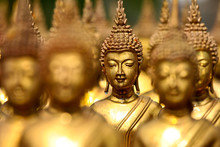Buddha Status