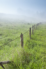 Wall Mural - nebel
