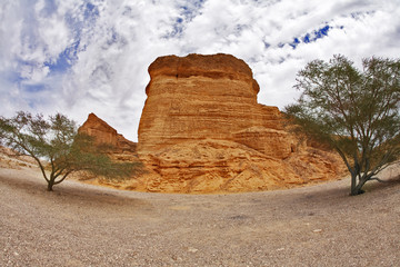 Canvas Print - Two trees and a red rock