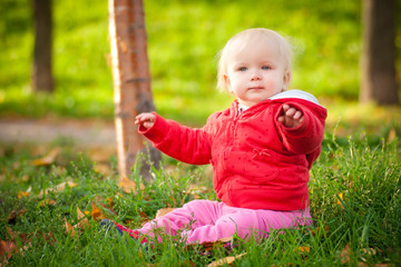 Wall Mural - young adorable cheerful baby sit in park on green grass play wit