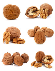 walnut