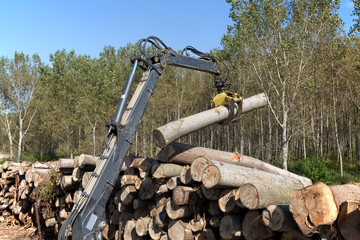 Crane with jaws loading logs onto a stack