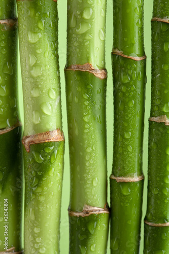 Naklejka - mata magnetyczna na lodówkę bamboo background