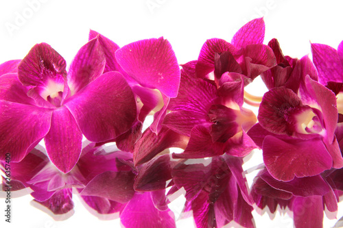 Board z aluminiowym obramowaniem Orchidea.