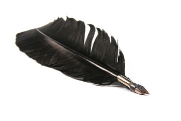 Wall Mural - black feather isolated on white background