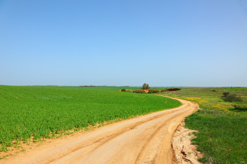 Poster - Rural road between green fields