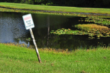 "Do Not Feed Alligator" Sign Next To A Small Lake