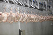 poultry processing meat food industry
