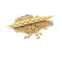Poster - Rye Grains with Ear