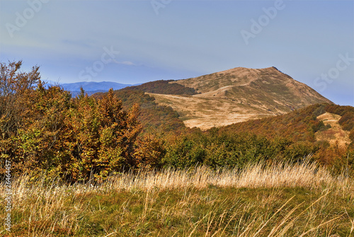 Plakat na papierze fotorealistycznym Bieszczady - połonina wetlińska
