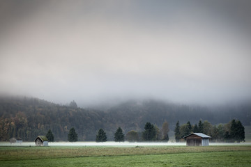 Wall Mural - nebel