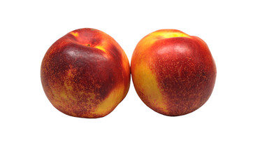 Two Nectarines