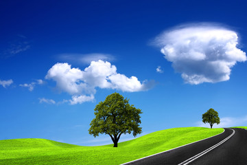 Wall Mural - Road and cloudy sky