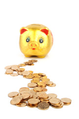 Poster - Golden piggy bank with coins