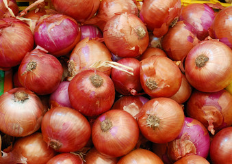 Wall Mural - close up of onion