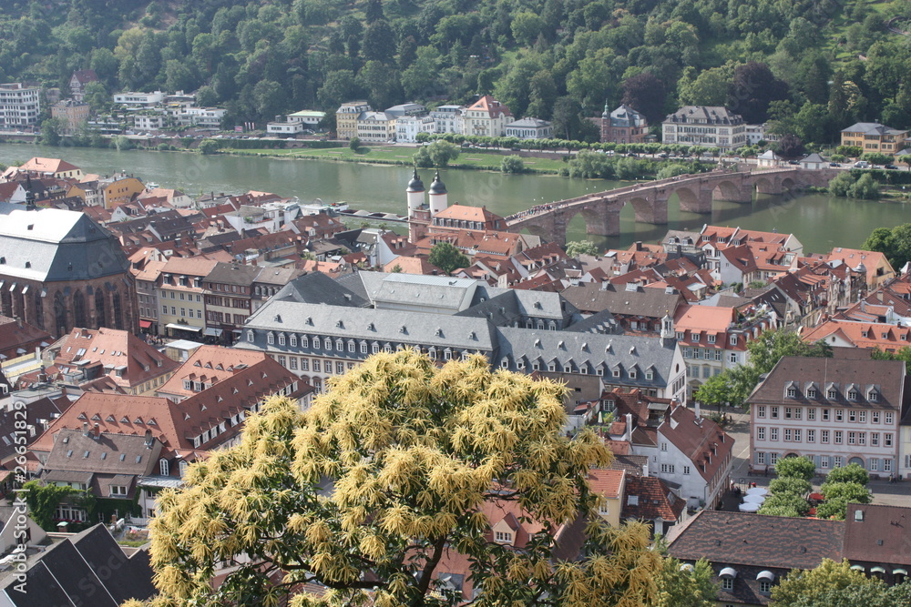 I love Heidelberg - obrazy, fototapety, plakaty 