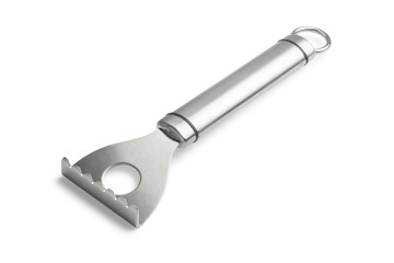 Stainless steel fish scraper