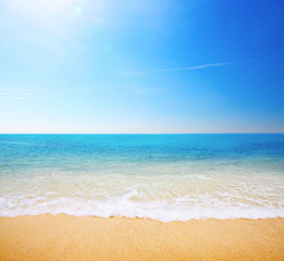 beach and tropical sea