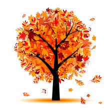 Beautiful Autumn Tree For Your Design