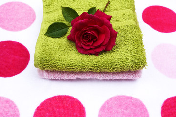 Wall Mural - Rose and towels