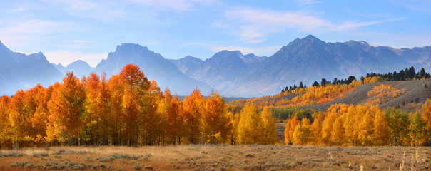 Wall Mural - panoramic view of grand tetons national mountain range