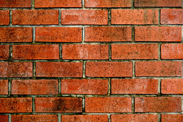 Canvas Print - old bricks wall