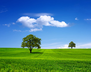 Poster - Nature landscape