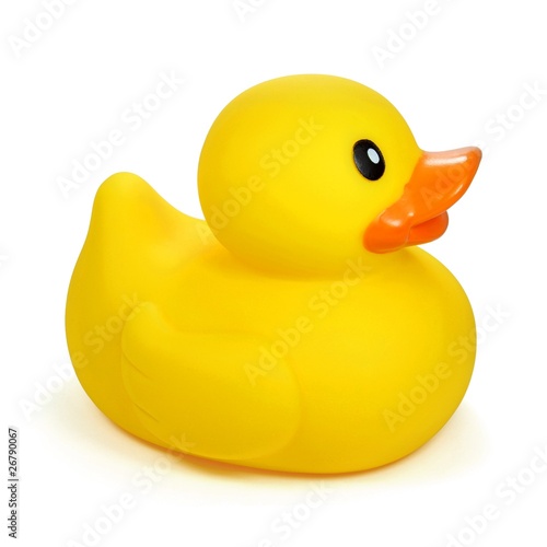 Badeente Gay Duck Quietscheentchen Plastikenten Quietscheente Gummiente Ente 