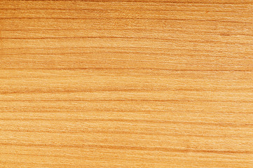 Wall Mural - Pattern of wood - can be used as background