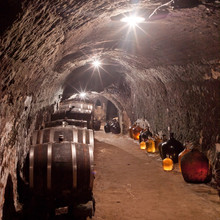 Wine Cellar, Czech Republic